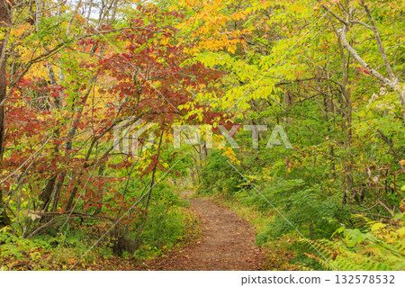 五色沼湖與沼澤：秋葉美景盡收眼底 132578532