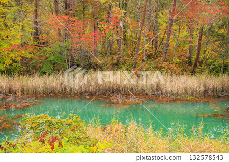 五色沼湖與沼澤：秋葉美景盡收眼底 132578543