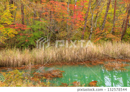 五色沼湖與沼澤:秋葉美景盡收眼底 五色沼湖與沼澤:秋葉美景盡收眼底 132578544