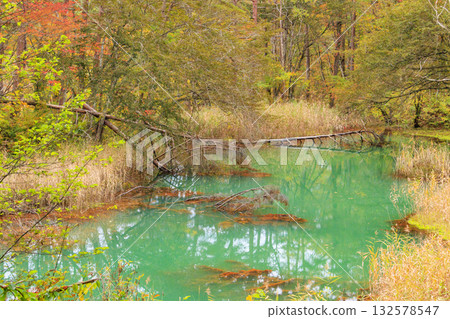 五色沼湖與沼澤：秋葉美景盡收眼底 132578547