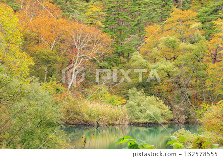 五色沼湖與沼澤：秋葉美景盡收眼底 132578555