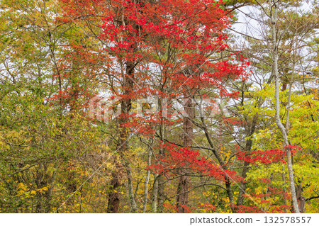 Goshikinuma Lakes and Marshes: Autumn Foliage at its Best 132578557