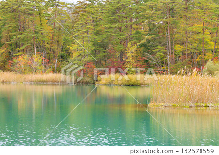 Goshikinuma Lakes and Marshes: Autumn Foliage at its Best 132578559