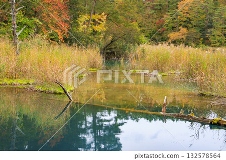 五色沼湖與沼澤:秋葉美景盡收眼底 五色沼湖與沼澤:秋葉美景盡收眼底 132578564