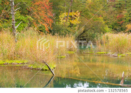 Goshikinuma Lakes and Marshes: Autumn Foliage at its Best 132578565