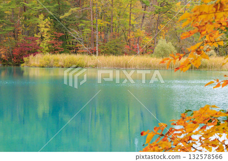 五色沼湖與沼澤：秋葉美景盡收眼底 132578566