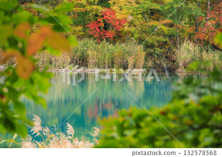 Goshikinuma Lakes and Marshes: Autumn Foliage at its Best Goshikinuma Lakes and Marshes: Autumn Foliage at its Best 132578568