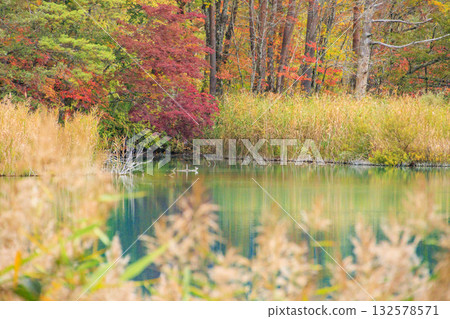 五色沼湖與沼澤：秋葉美景盡收眼底 132578571