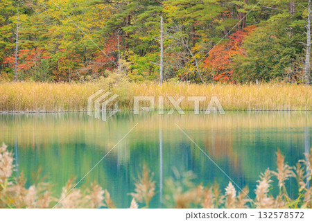 五色沼湖與沼澤：秋葉美景盡收眼底 132578572