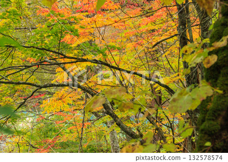 Goshikinuma Lakes and Marshes: Autumn Foliage at its Best Goshikinuma Lakes and Marshes: Autumn Foliage at its Best 132578574