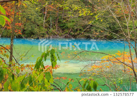 Goshikinuma Lakes and Marshes: Autumn Foliage at its Best Goshikinuma Lakes and Marshes: Autumn Foliage at its Best 132578577