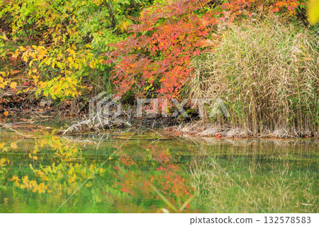 Goshikinuma Lakes and Marshes: Autumn Foliage at its Best Goshikinuma Lakes and Marshes: Autumn Foliage at its Best 132578583