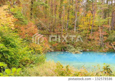 五色沼湖與沼澤：秋葉美景盡收眼底 132578586