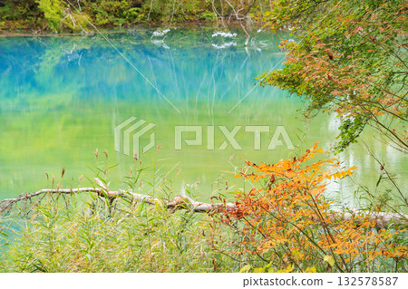 五色沼湖與沼澤：秋葉美景盡收眼底 132578587