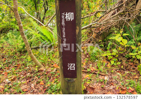 五色沼湖與沼澤:秋葉美景盡收眼底 五色沼湖與沼澤:秋葉美景盡收眼底 132578597