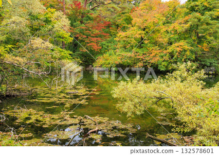 Goshikinuma Lakes and Marshes: Autumn Foliage at its Best Goshikinuma Lakes and Marshes: Autumn Foliage at its Best 132578601