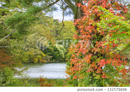 Goshikinuma Lakes and Marshes: Autumn Foliage at its Best Goshikinuma Lakes and Marshes: Autumn Foliage at its Best 132578606