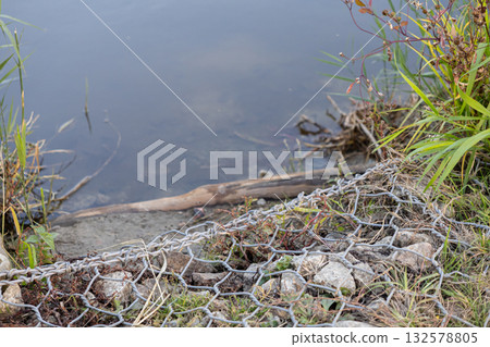 Gabion mesh with rugged stones effectively reinforces a serene riverbank, providing vital erosion control and protecting the delicate aquatic ecosystem 132578805