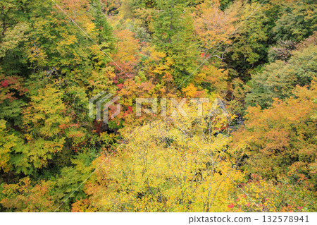 Nakatsugawa Valley at its best when the autumn leaves are in full bloom 132578941
