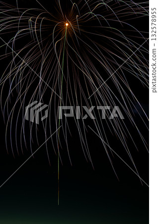 夜空中，垂柳綻放，宛如精緻的煙火 132578955