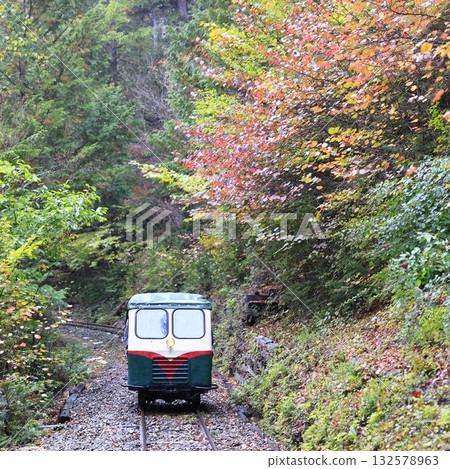 Akazawa Forest Railway in autumn colors 132578963
