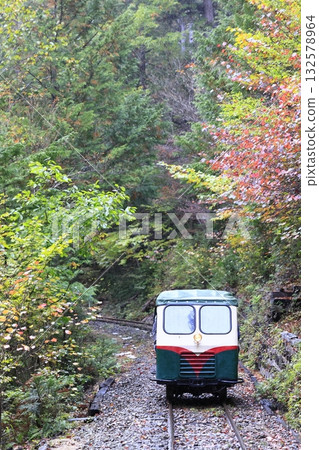 秋葉的赤澤森林鐵路 132578964