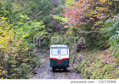 秋葉的赤澤森林鐵路 132578966