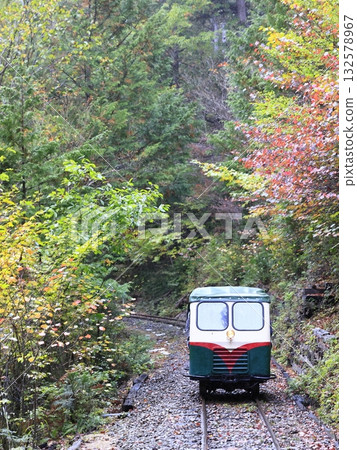 Akazawa Forest Railway in autumn colors Akazawa Forest Railway in autumn colors 132578967