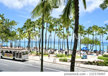 Why's palm-lined beach 132578997