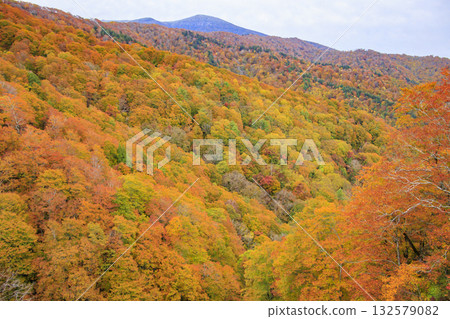 Autumn leaves of Western Azuma Sky Valley 132579082