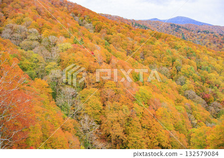 西Azuma天空谷秋葉 132579084