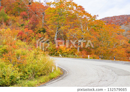 西Azuma天空谷秋葉 西Azuma天空谷秋葉 132579085