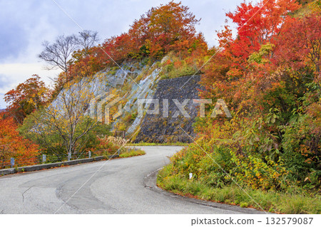 Autumn leaves of Western Azuma Sky Valley 132579087