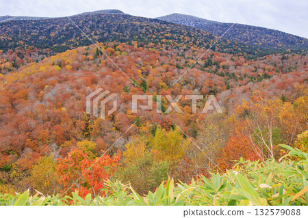 西Azuma天空谷秋葉 132579088