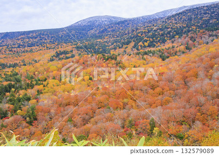 西Azuma天空谷秋葉 西Azuma天空谷秋葉 132579089