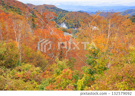 Autumn leaves of Western Azuma Sky Valley Autumn leaves of Western Azuma Sky Valley 132579092