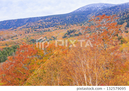 西Azuma天空谷秋葉 132579095