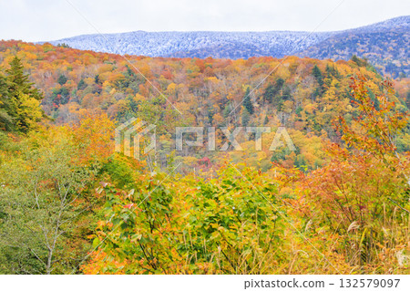 西Azuma天空谷秋葉 西Azuma天空谷秋葉 132579097