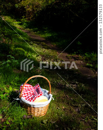Summer picnic basket on a forest path with red checkered cloth Summer picnic basket on a forest path with red checkered cloth 132579133