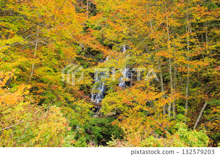 Autumn leaves at Yoshizawa Fudo Falls in Nishi-Azuma Sky Valley Autumn leaves at Yoshizawa Fudo Falls in Nishi-Azuma Sky Valley 132579203