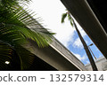 Beautiful tropical building and palm leaves 132579314