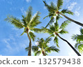 Palm trees that shine in the blue sky of Hawaii 132579438