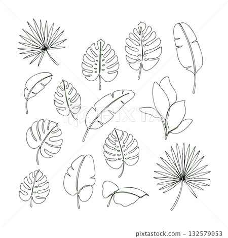 Tropical leaves vector set with various palm, monstera, and banana leaf designs in outline style for botanical projects and natural themes Tropical leaves vector set with various palm, monstera, and banana leaf designs in outline style for botanical projects and natural themes 132579953