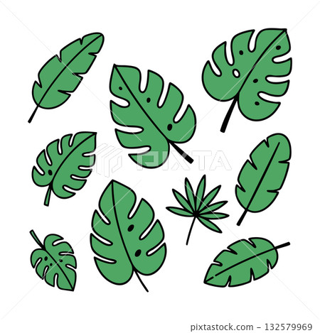 Tropical green leaves collection with monstera and palm leaf shapes in vector style for design and decoration purposes 132579969