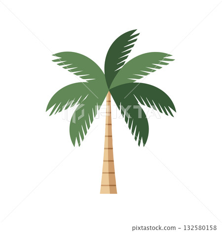Palm tree vector illustration with green leaves and brown trunk natural tropical plant design 132580158