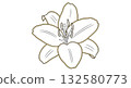 Elegant white lily flower with golden outline. 132580773