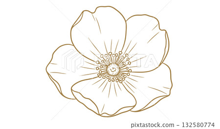 Elegant Golden Line Art Single Rose Flower 132580774