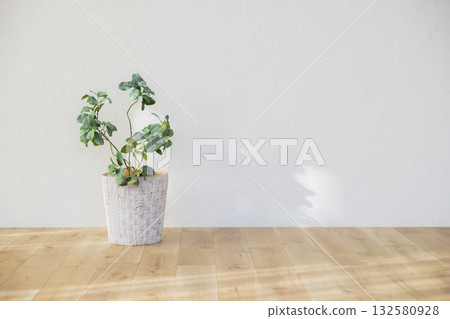 白色牆壁和木地板 132580928
