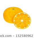 Cross-section illustration of a mandarin orange, watercolor style 132580962