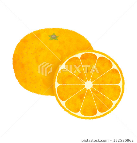 Cross-section illustration of a mandarin orange, watercolor style 132580962